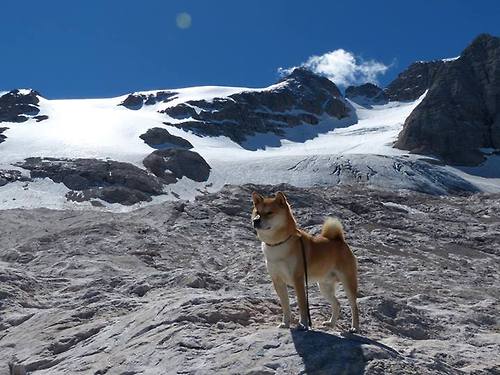 【青春崛起】丁俊晖：新一代年轻运动员的训练心得，丁俊晖是哪项运动员