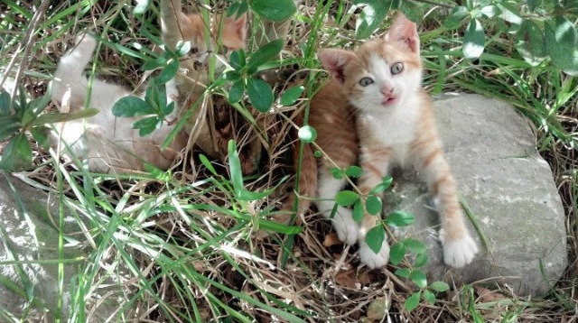 史上最大“逆转战”精彩瞬间合集，逆转pg